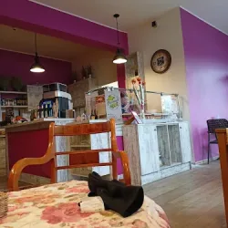 Pierożkarnia (Ełk )