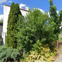 Pizzeria (Myszków )