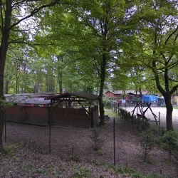 Pizzeria Sapori Del Bosco (Mysłowice )