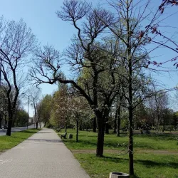 Planty Piaśniki (Świętochłowice )