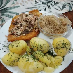 Plejada DaŃ (Jarocin )