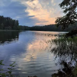 Pole Namiotowe ,, Przylasek 