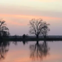 Port Rzeczny Widuchowa (Widuchowa )
