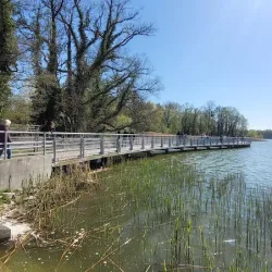 Promenada Im. Wisławy Szymborskiej W Kórniku (Kórnik )