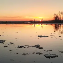 Przystań Widuchowa (Widuchowa )