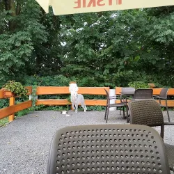 Restauracja Dwa Światy- Organizacja Przyjęć Okolicznościowych (Wyry )