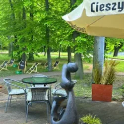 Restauracja Pod Czarnym Bocianem (Cieszyn )