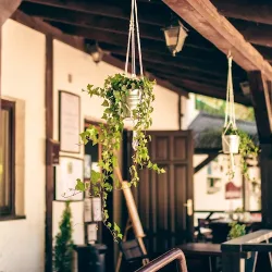 Restauracja Rozkówka (Będzin )
