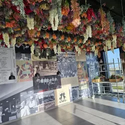 Restauracja U Kelnerów Katowice (Katowice )