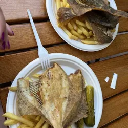 Rybka W Piasek (Krynica Morska )