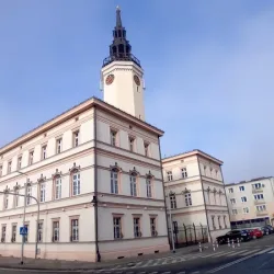 Rynek W Strzelcach Opolskich (Strzelce Opolskie )