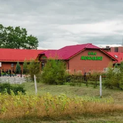 Sala Bankietowa Kowaliki (Kowaliki )