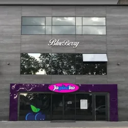 Sklep Spożywczy Jagoodka (Myszków )