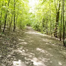 Skwer Bytomska (Świętochłowice )