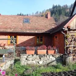 Stara Chata W Beskidach (Żabnica )