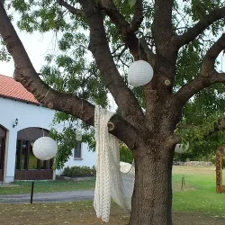 Stara Stodoła (Nakło nad Notecią )