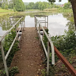 Staw Guców W Złotym Potoku (Złoty Potok )