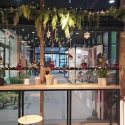 Summer's Cafe (Jabłonna )