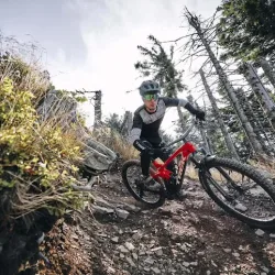 Szczyrk Mountain Resort - Bike Park By Trek (Szczyrk )