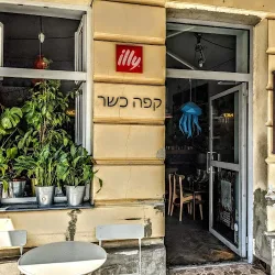 Tworzywo Cafe/bar (Kraków )