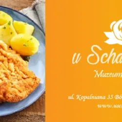 U Schabińskiej Karpacka Troja - Restauracja W Skansenie (Trzcinica )