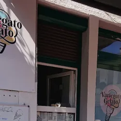 Variegatogelato (Lubaczów )