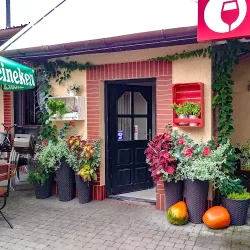 Vino Rosso Pizzeria (Mielec )
