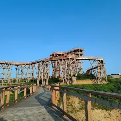 Wieża Widokowa Kurzętnik (Kurzętnik )