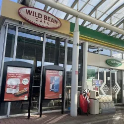 Wild Bean Cafe (Przemyśl )