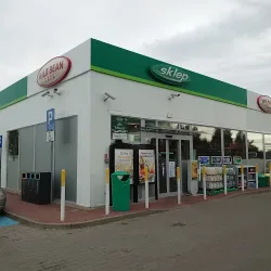 Wild Bean Cafe (Darłowo )