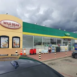Wild Bean Cafe (Wysoka Gryfińska )
