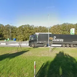 Wild Bean Cafe (Opatówek )