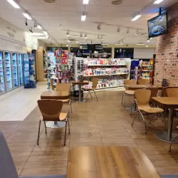 Wild Bean Cafe (Rogoziniec )