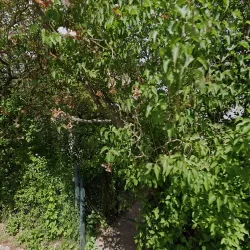 Wm Kontrapunkt Sp. Z O.o. (Puszczykowo )