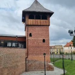 Zamek Piastów Kozielskich (Kędzierzyn-Koźle )