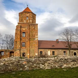 Zamek W Toszku (Toszek )