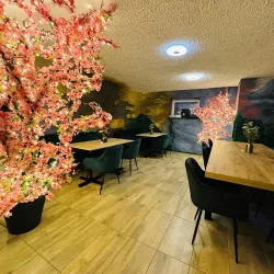 Zielonka Sushi (Nysa )